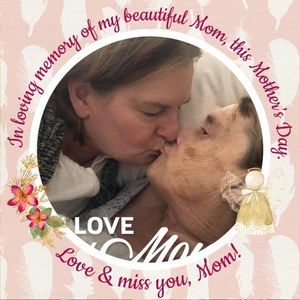 Meet your Posher, Teresa